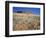 Stonehenge Memorial-Steve Terrill-Framed Photographic Print