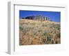 Stonehenge Memorial-Steve Terrill-Framed Photographic Print