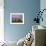 Stonehenge, Wiltshire, England, UK-Charles Bowman-Framed Photographic Print displayed on a wall