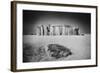 Stonehenge, Wiltshire, England-Simon Marsden-Framed Giclee Print