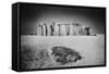 Stonehenge, Wiltshire, England-Simon Marsden-Framed Stretched Canvas