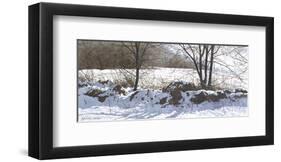 Stonerow-Ray Hendershot-Framed Art Print