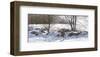 Stonerow-Ray Hendershot-Framed Art Print