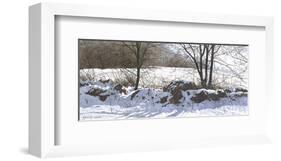 Stonerow-Ray Hendershot-Framed Art Print