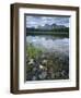 Stones Along Shore of Frog Lake with Mountain Peaks in Back, Sawtooth National Recreation Area, USA-Scott T^ Smith-Framed Photographic Print