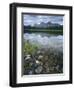 Stones Along Shore of Frog Lake with Mountain Peaks in Back, Sawtooth National Recreation Area, USA-Scott T^ Smith-Framed Photographic Print