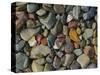 Stones Along St Mary Lake, Glacier National Park, Montana, USA-Charles Gurche-Stretched Canvas