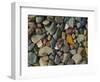 Stones Along St Mary Lake, Glacier National Park, Montana, USA-Charles Gurche-Framed Photographic Print