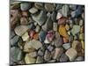 Stones Along St Mary Lake, Glacier National Park, Montana, USA-Charles Gurche-Mounted Photographic Print