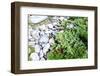 Stones and Moss in Lapland-lubastock-Framed Photographic Print