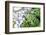 Stones and Moss in Lapland-lubastock-Framed Photographic Print