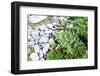 Stones and Moss in Lapland-lubastock-Framed Photographic Print