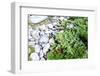 Stones and Moss in Lapland-lubastock-Framed Photographic Print