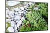 Stones and Moss in Lapland-lubastock-Mounted Photographic Print