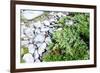 Stones and Moss in Lapland-lubastock-Framed Photographic Print