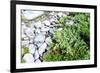 Stones and Moss in Lapland-lubastock-Framed Photographic Print