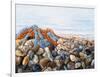 Stones and Ropes-Cristiana Angelini-Framed Giclee Print