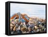 Stones and Ropes-Cristiana Angelini-Framed Stretched Canvas