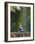 Stones Balanced on Rock, Palm Trees in Background, Maldives, Indian Ocean-Papadopoulos Sakis-Framed Photographic Print