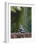 Stones Balanced on Rock, Palm Trees in Background, Maldives, Indian Ocean-Papadopoulos Sakis-Framed Photographic Print