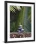 Stones Balanced on Rock, Palm Trees in Background, Maldives, Indian Ocean-Papadopoulos Sakis-Framed Photographic Print