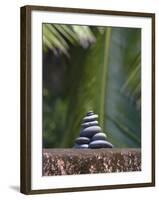 Stones Balanced on Rock, Palm Trees in Background, Maldives, Indian Ocean-Papadopoulos Sakis-Framed Photographic Print