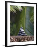 Stones Balanced on Rock, Palm Trees in Background, Maldives, Indian Ocean-Papadopoulos Sakis-Framed Photographic Print