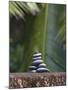 Stones Balanced on Rock, Palm Trees in Background, Maldives, Indian Ocean-Papadopoulos Sakis-Mounted Photographic Print