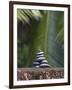 Stones Balanced on Rock, Palm Trees in Background, Maldives, Indian Ocean-Papadopoulos Sakis-Framed Photographic Print