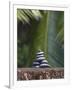 Stones Balanced on Rock, Palm Trees in Background, Maldives, Indian Ocean-Papadopoulos Sakis-Framed Photographic Print