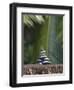 Stones Balanced on Rock, Palm Trees in Background, Maldives, Indian Ocean-Papadopoulos Sakis-Framed Photographic Print