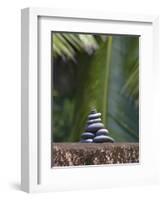 Stones Balanced on Rock, Palm Trees in Background, Maldives, Indian Ocean-Papadopoulos Sakis-Framed Photographic Print