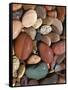 Stones, Clark Fork River, Lolo National Forest Montana, USA-Charles Gurche-Framed Stretched Canvas