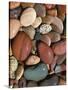 Stones, Clark Fork River, Lolo National Forest Montana, USA-Charles Gurche-Stretched Canvas