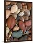 Stones, Clark Fork River, Lolo National Forest Montana, USA-Charles Gurche-Framed Photographic Print