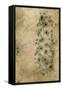 Stones II-Jennifer Goldberger-Framed Stretched Canvas