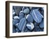Stones, Lake Champlain, Vermont, USA-Charles Gurche-Framed Premium Photographic Print