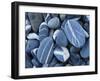 Stones, Lake Champlain, Vermont, USA-Charles Gurche-Framed Premium Photographic Print