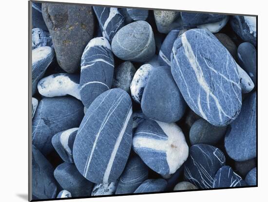 Stones, Lake Champlain, Vermont, USA-Charles Gurche-Mounted Premium Photographic Print