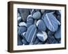 Stones, Lake Champlain, Vermont, USA-Charles Gurche-Framed Photographic Print