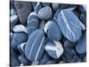 Stones, Lake Champlain, Vermont, USA-Charles Gurche-Stretched Canvas