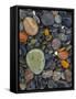 Stones, Lopez Island, Agate Beach County, Washington, USA-Charles Gurche-Framed Stretched Canvas