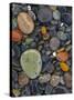 Stones, Lopez Island, Agate Beach County, Washington, USA-Charles Gurche-Stretched Canvas