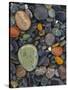 Stones, Lopez Island, Agate Beach County, Washington, USA-Charles Gurche-Stretched Canvas