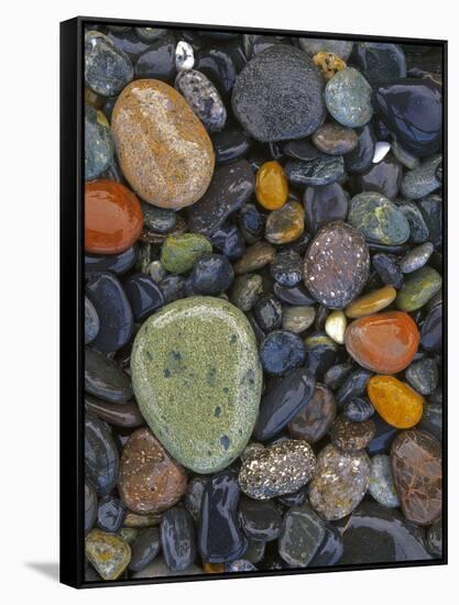 Stones, Lopez Island, Agate Beach County, Washington, USA-Charles Gurche-Framed Stretched Canvas