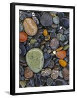 Stones, Lopez Island, Agate Beach County, Washington, USA-Charles Gurche-Framed Premium Photographic Print