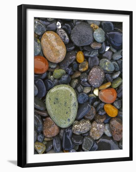 Stones, Lopez Island, Agate Beach County, Washington, USA-Charles Gurche-Framed Premium Photographic Print