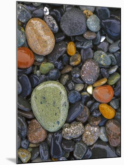 Stones, Lopez Island, Agate Beach County, Washington, USA-Charles Gurche-Mounted Premium Photographic Print