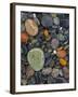 Stones, Lopez Island, Agate Beach County, Washington, USA-Charles Gurche-Framed Photographic Print