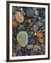 Stones, Lopez Island, Agate Beach County, Washington, USA-Charles Gurche-Framed Photographic Print